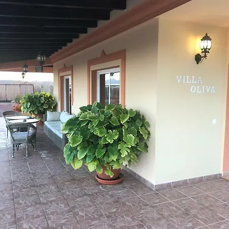 Oliva Fuerteventura *